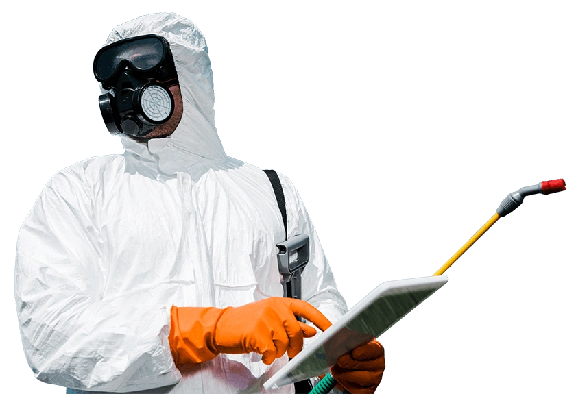 pest control service